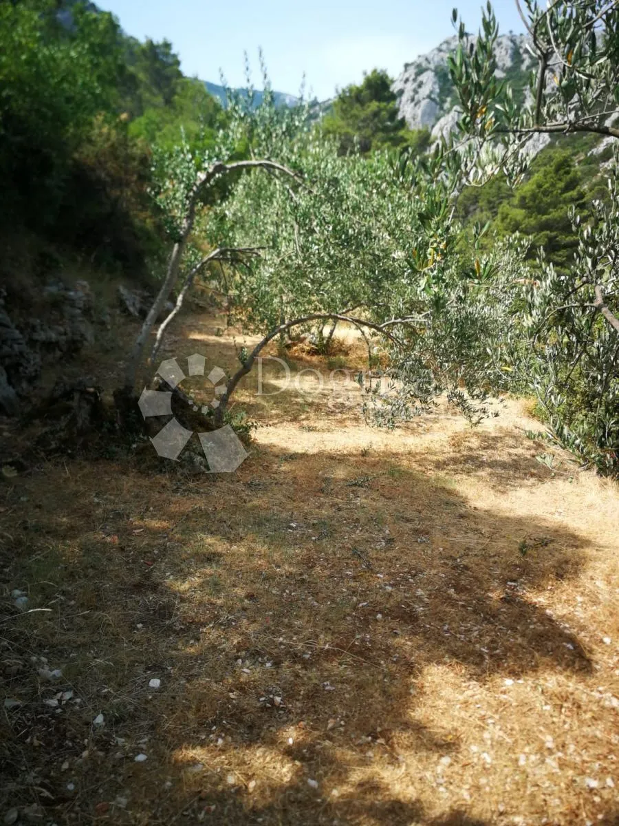 pelješac, trpanj - građevinsko zemljište - slika 11