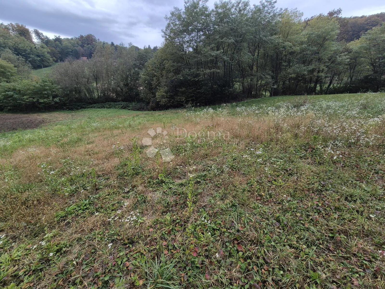 zemljište 1.169m² na mirnoj lokaciji sa pristupnim putem nadomak slovenije! - slika 2