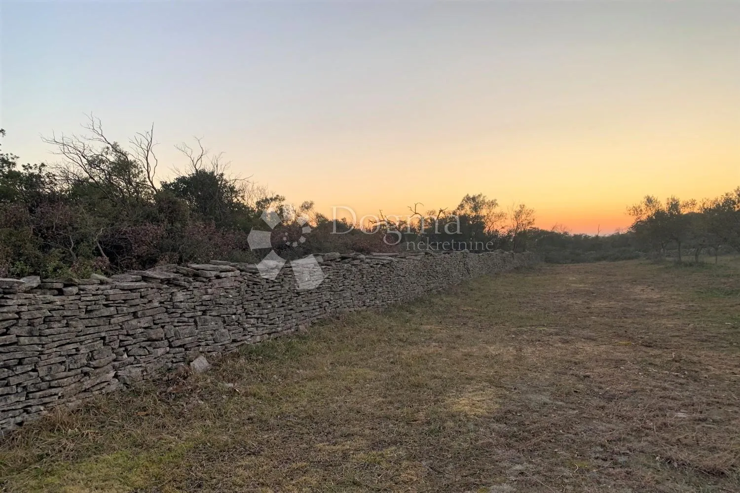 bale – maslinik i šuma 3 km od mora - slika 8
