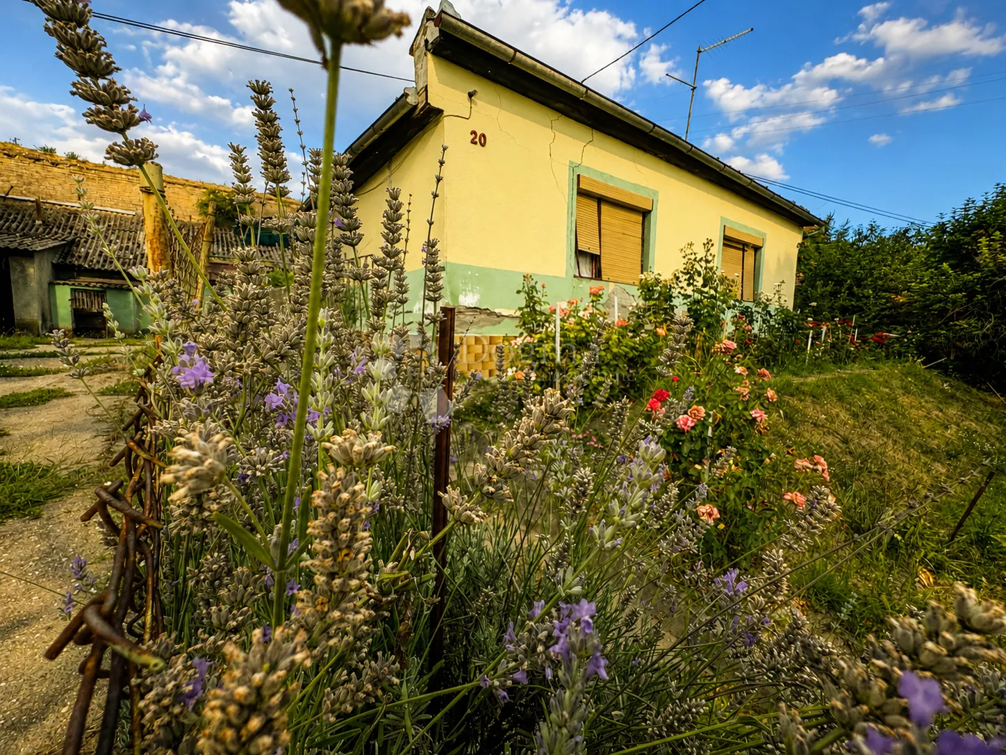 batina – imanje s vinogradom, oranicom i gatorima - slika 6
