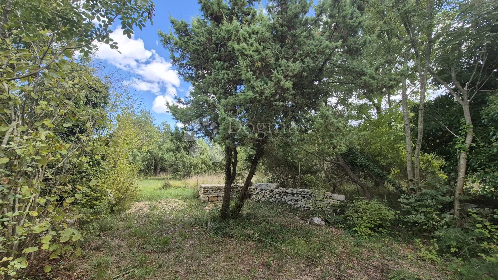 poljoprivredno zemljište sa kažunom površine 3550 m2 - slika 24