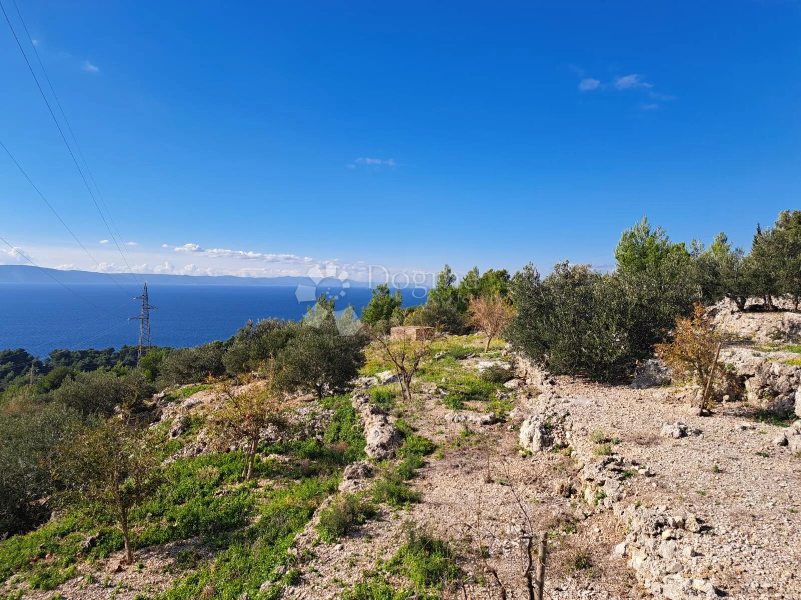 uređeni maslinik s predivnim pogledom – 896 m², podgora - slika 2