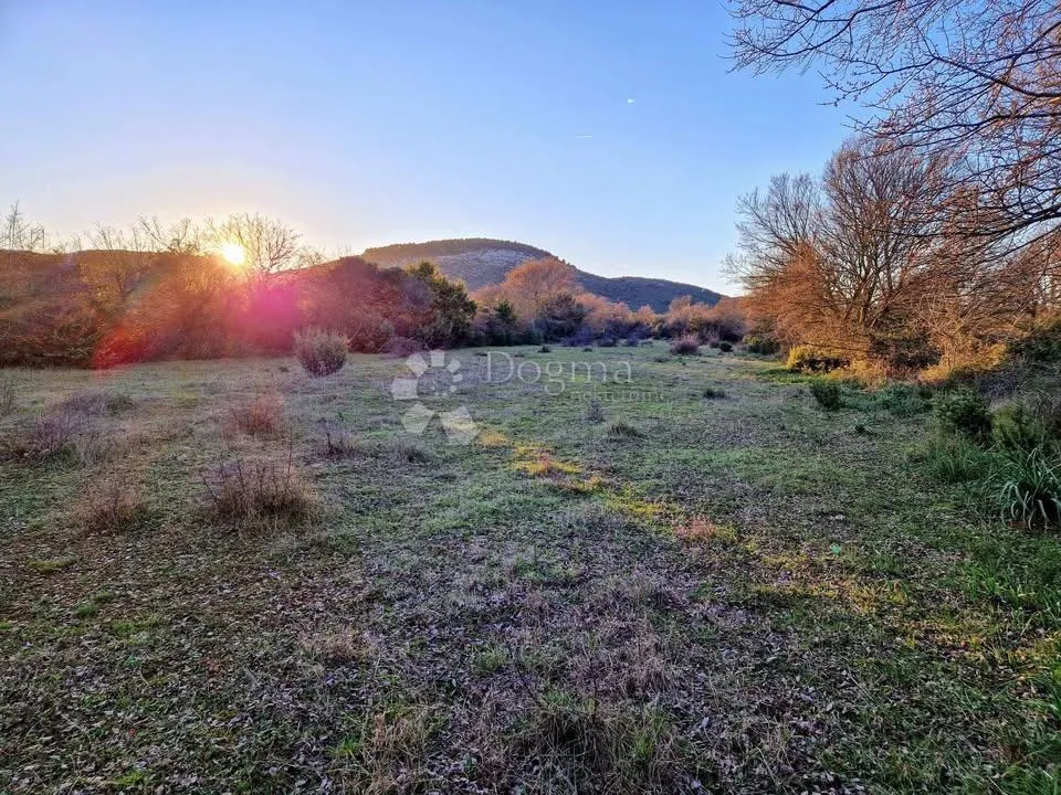 GLAVICA (SV. PETAR NA MORU) - POLJOPRIVREDNO ZEMLJIŠTE 3202m2 - Glavica, Sukošan