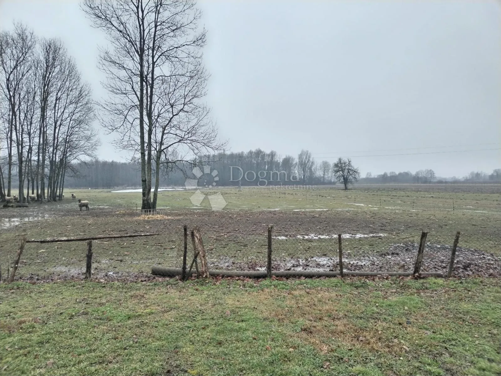 imanje 30.339 m² s građevinskim zemljištem–blizina kloštar ivanića - slika 13