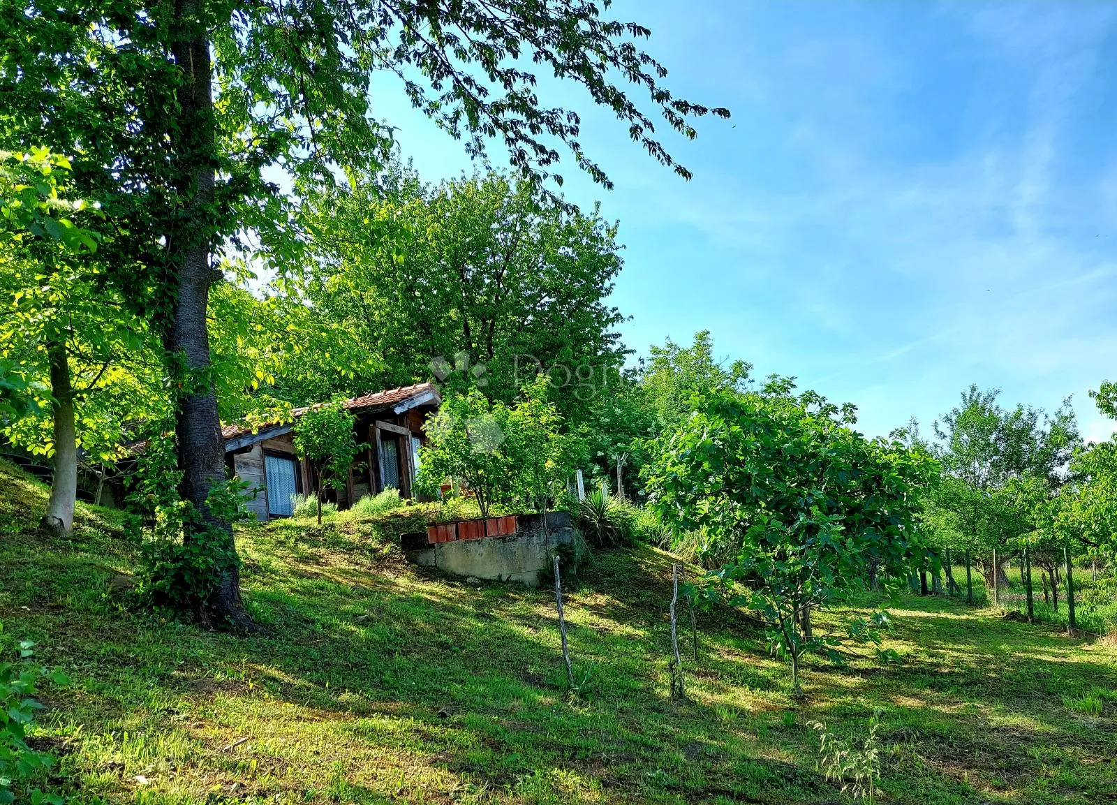 Zelena oaza u Svetoj Nedelji za vikend druženja! PRILIKA! - Sveta Nedelja