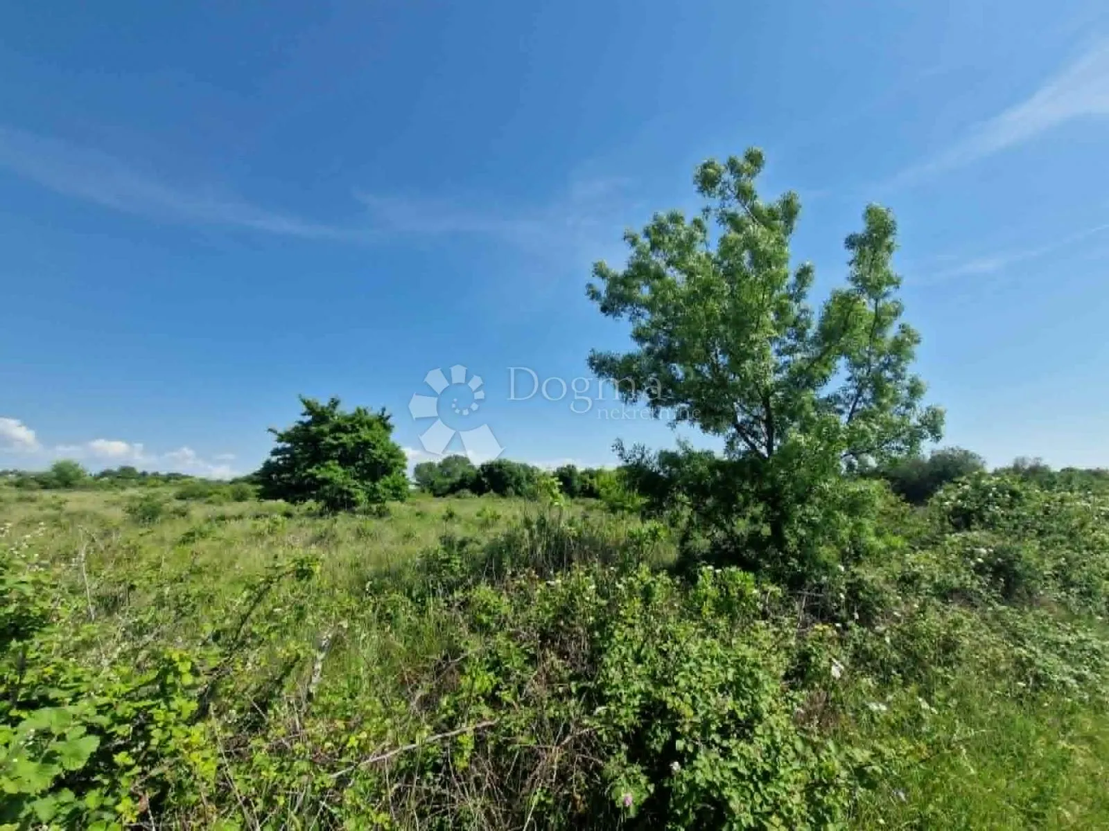 murvica - poljoprivredno zemljište 2182 m2 - slika 4