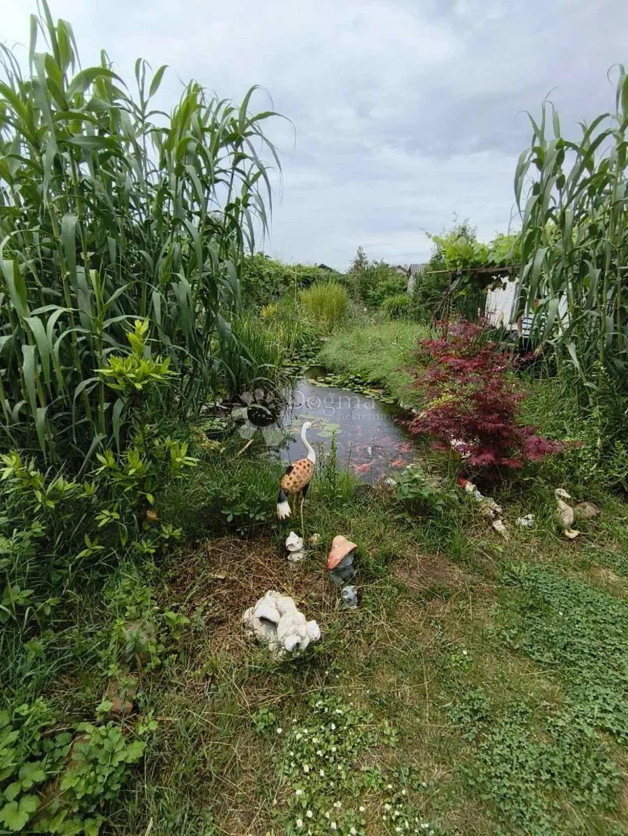 obiteljska oaza u bilju s ribnjakom i garažom - slika 14