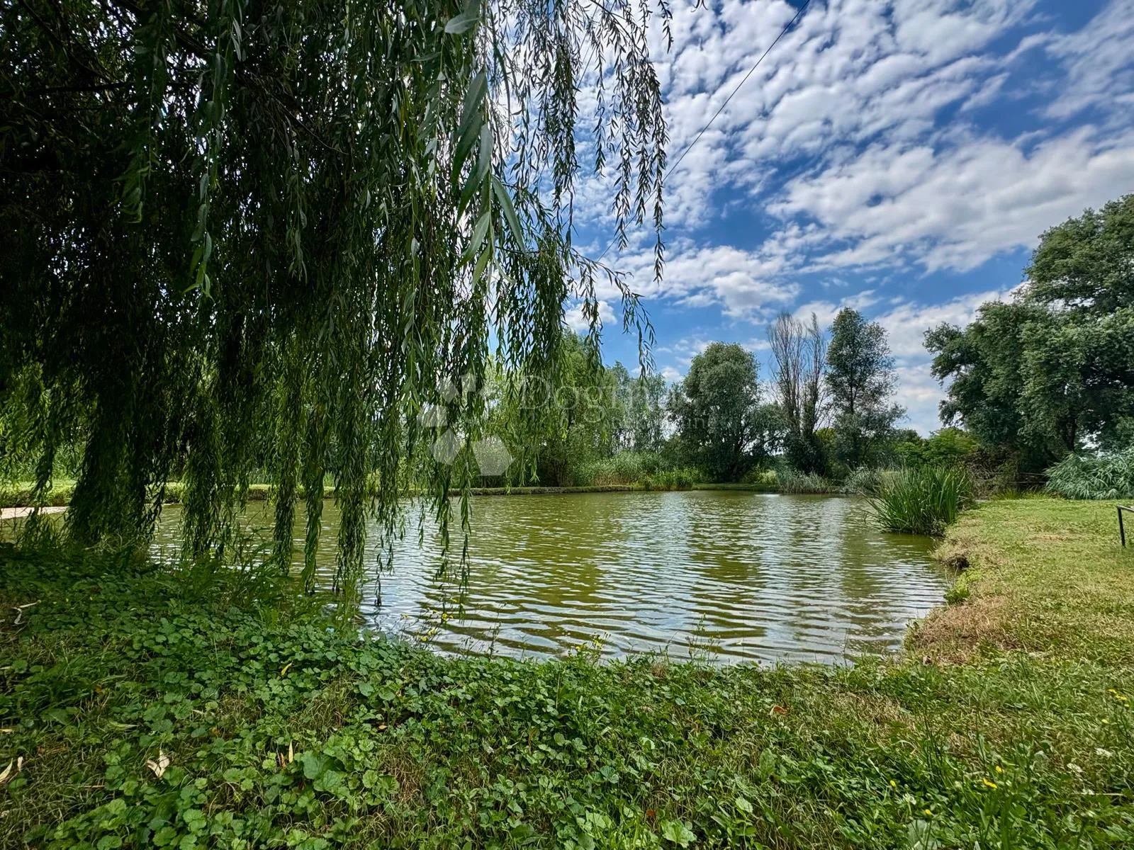 atraktivno imanje s ribnjakom i turističkim potencijalom - slika 57