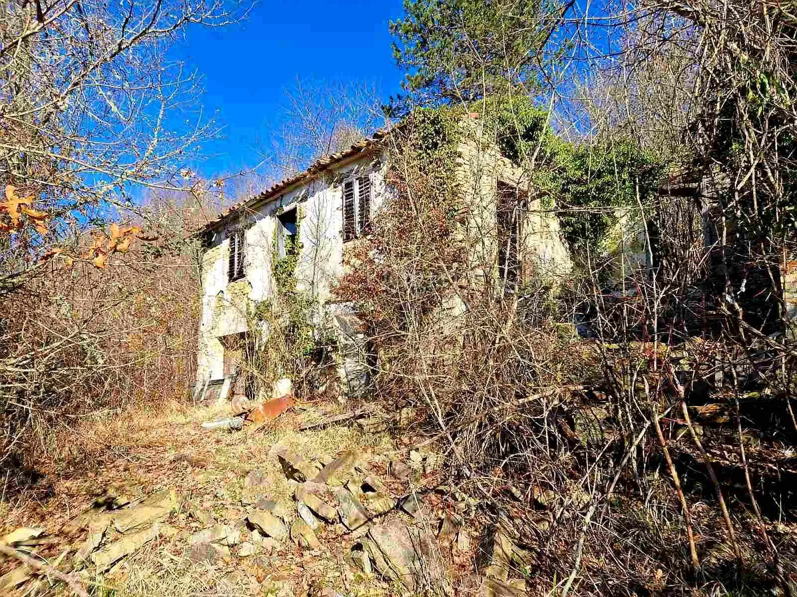 veliko imanje sa dvije kuće s ogromnim potencijalom - središnja istra - slika 2