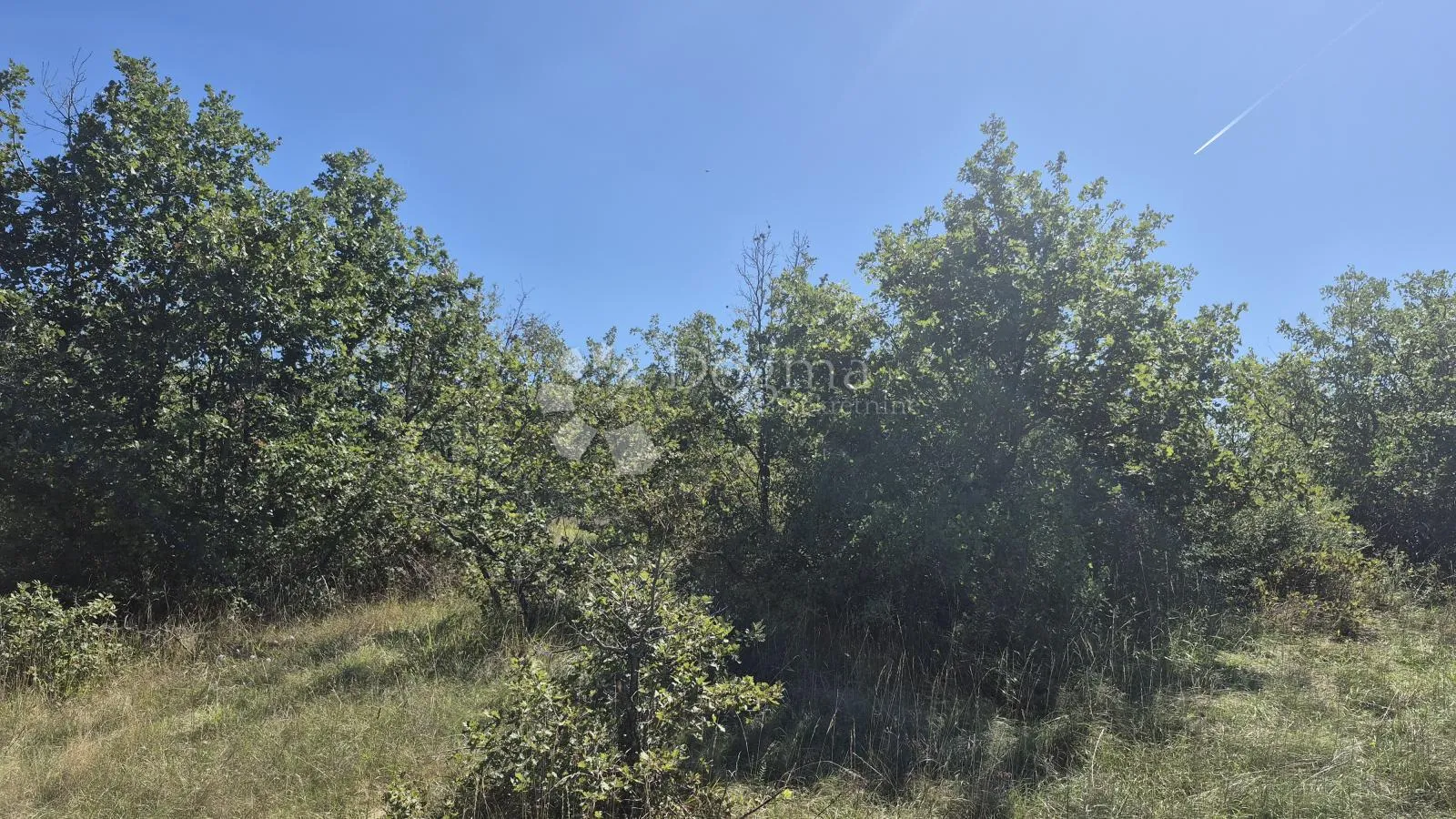 poljoprivredno zemljište nedaleko istarskog ipsilona 2913 m2 - slika 2