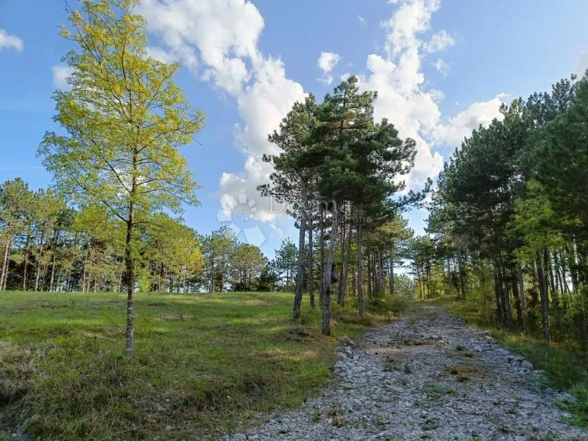 građevinsko zemljište (2000m2) s bogatom šumom (36789 m2) - slika 4