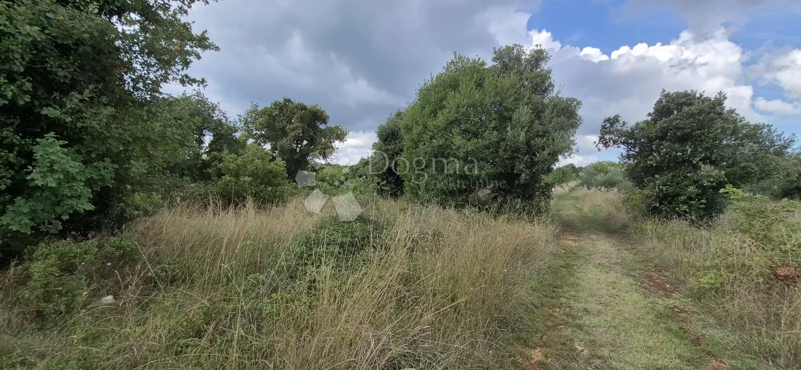 poljoprivredno zemljište kavran-1296 m2 - slika 2