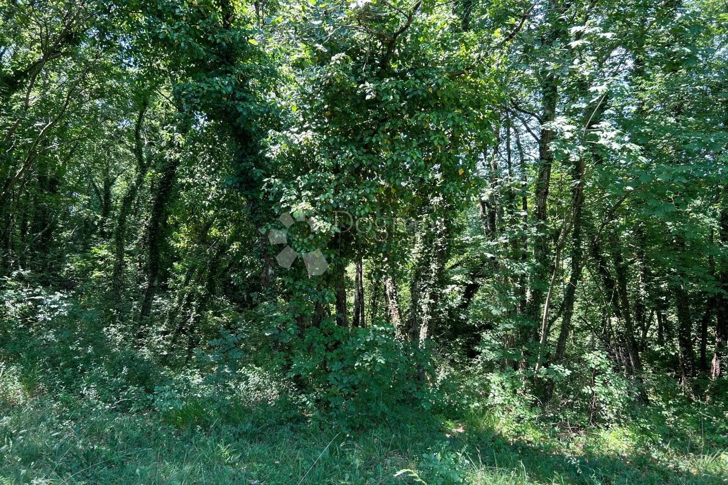 žminj – zemljište na privlačnoj lokaciji - slika 15