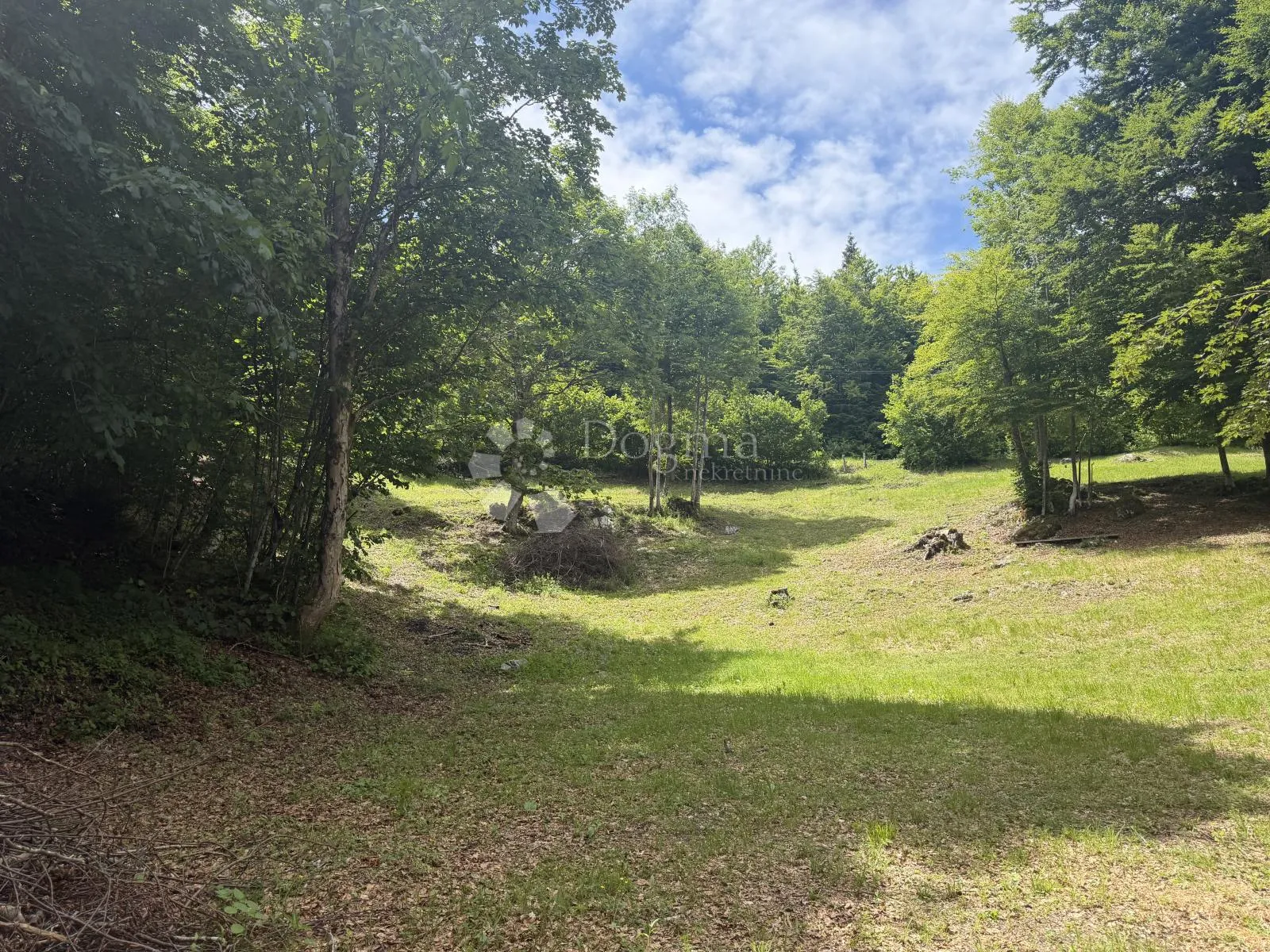 GORSKI KOTAR STARI LAZ, građevinsko zemljište 3200m2 - Stari Laz, Ravna Gora