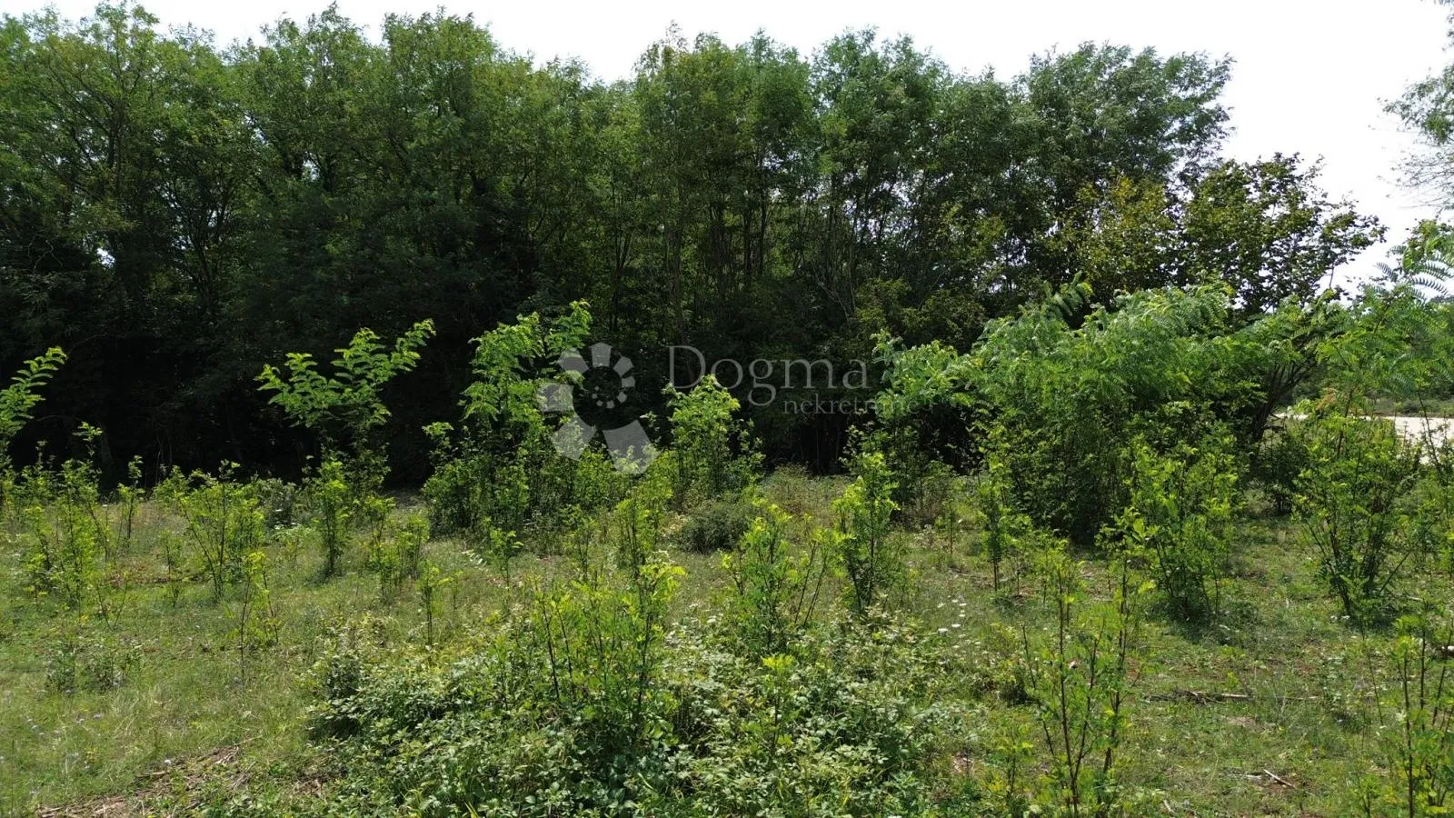 labin,okolica,veliko građevinsko zemljište na rubu sela - slika 8