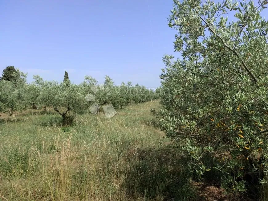 prekrasna stancija u okolici pule, s 10000 m² urbaniziranog zemljišta - slika 56