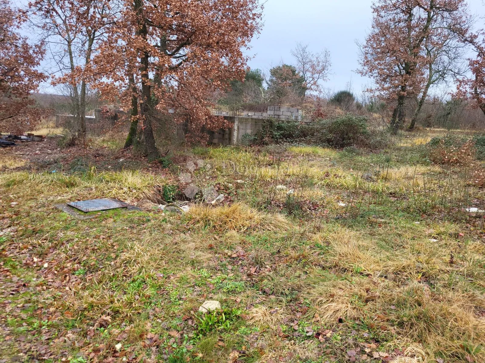 Započeta gradnja Tar-Vabriga - Perci, Tar-Vabriga