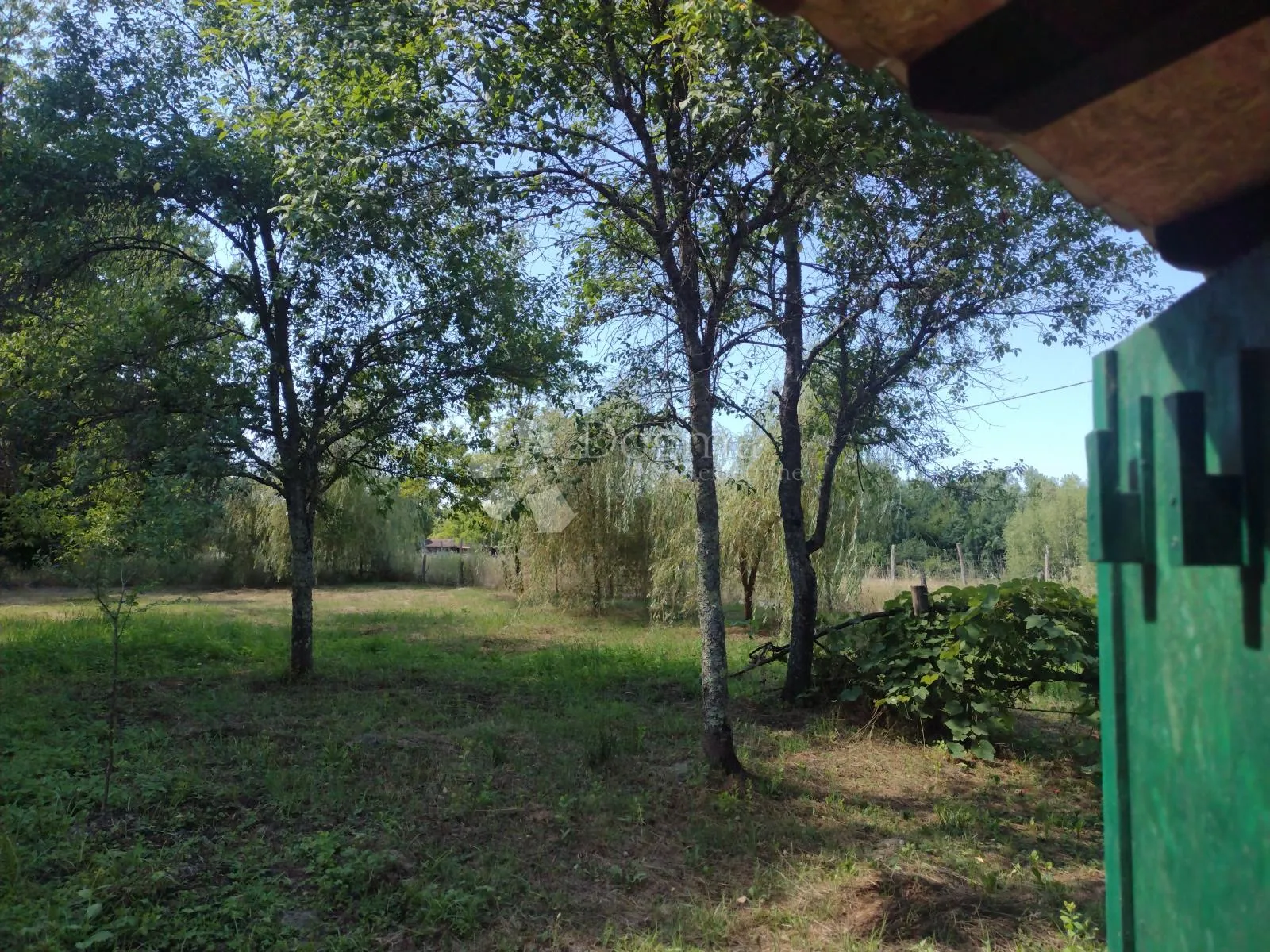 šumska vila - slika 30