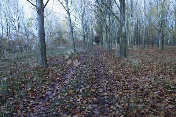 poljoprivredno zemljište šuma od 3876m2 do 23091m2 - slika 2