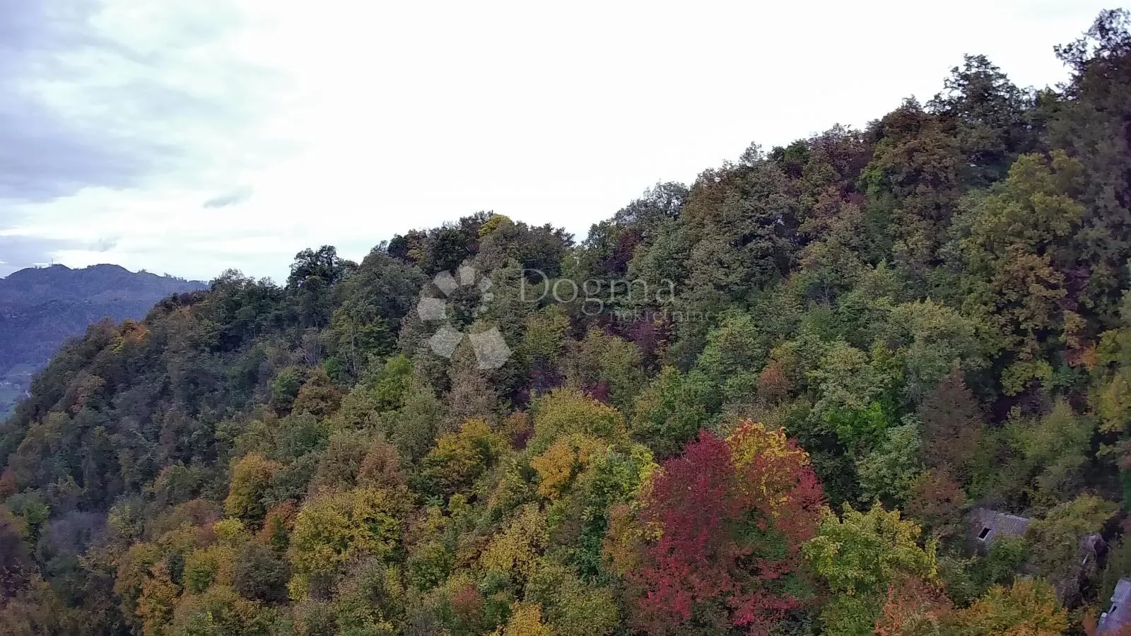 izvanredna prilika za kupnjom posjeda od 125.634m² nadomak slovenije! - slika 9