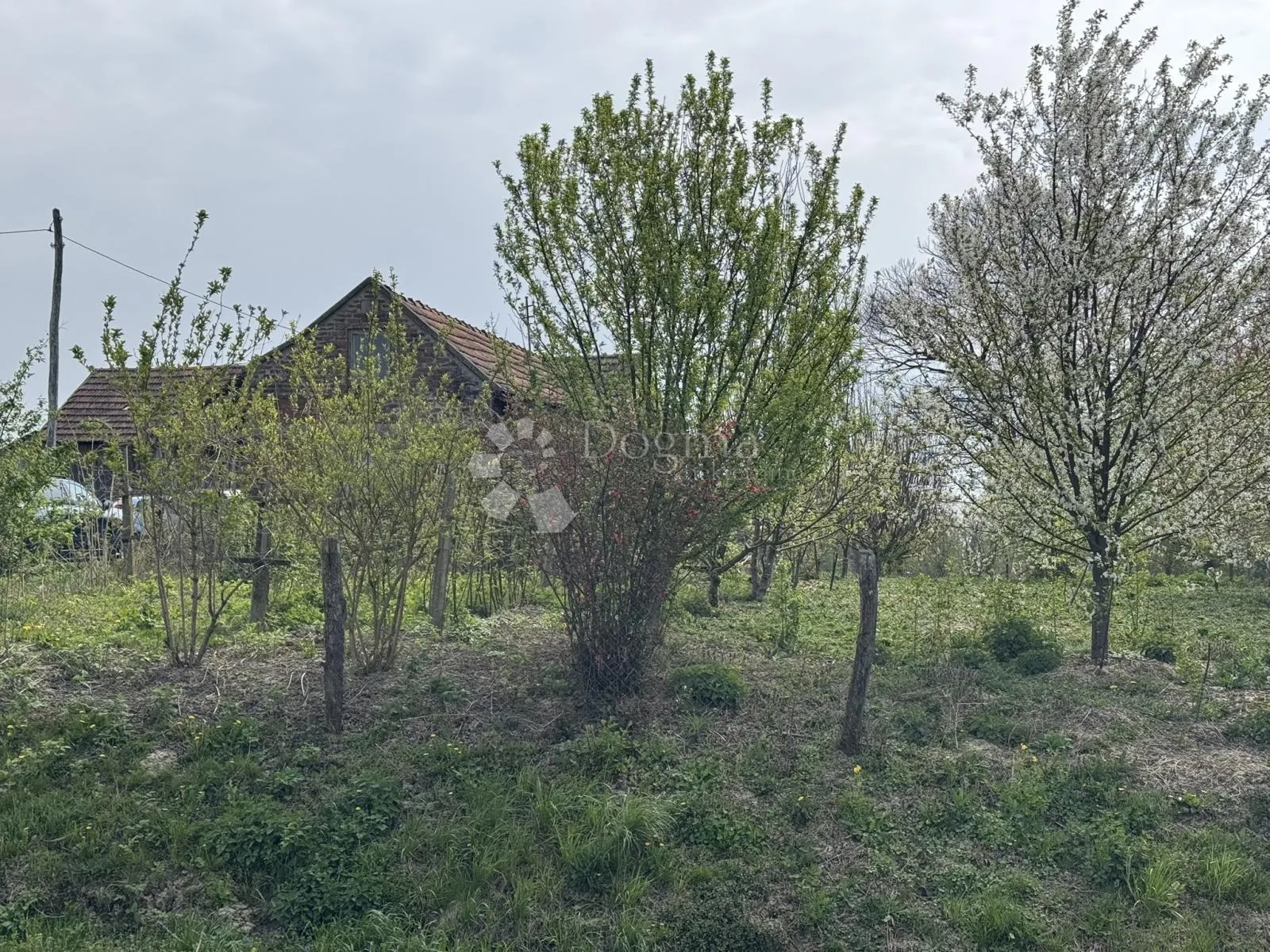 starčevljani - velika parcela za turizam ili investiciju - slika 9