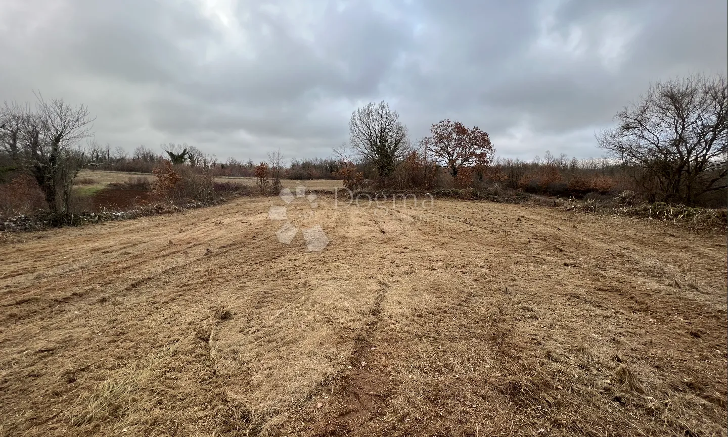 zemljište s ishodovanom građevinskom dozvolom i plaćenim komunalijama, okolica barbana - slika 9
