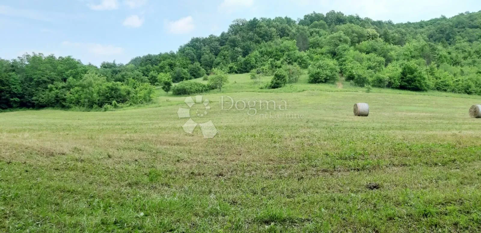 veliko imanje sa dvije kuće s ogromnim potencijalom - središnja istra - slika 3