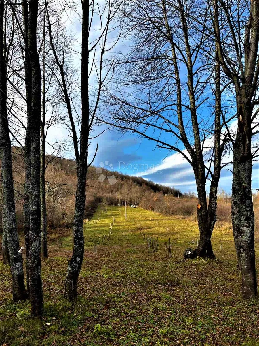 voćnjak iz snova 3.812 m² – boričevac - slika 2