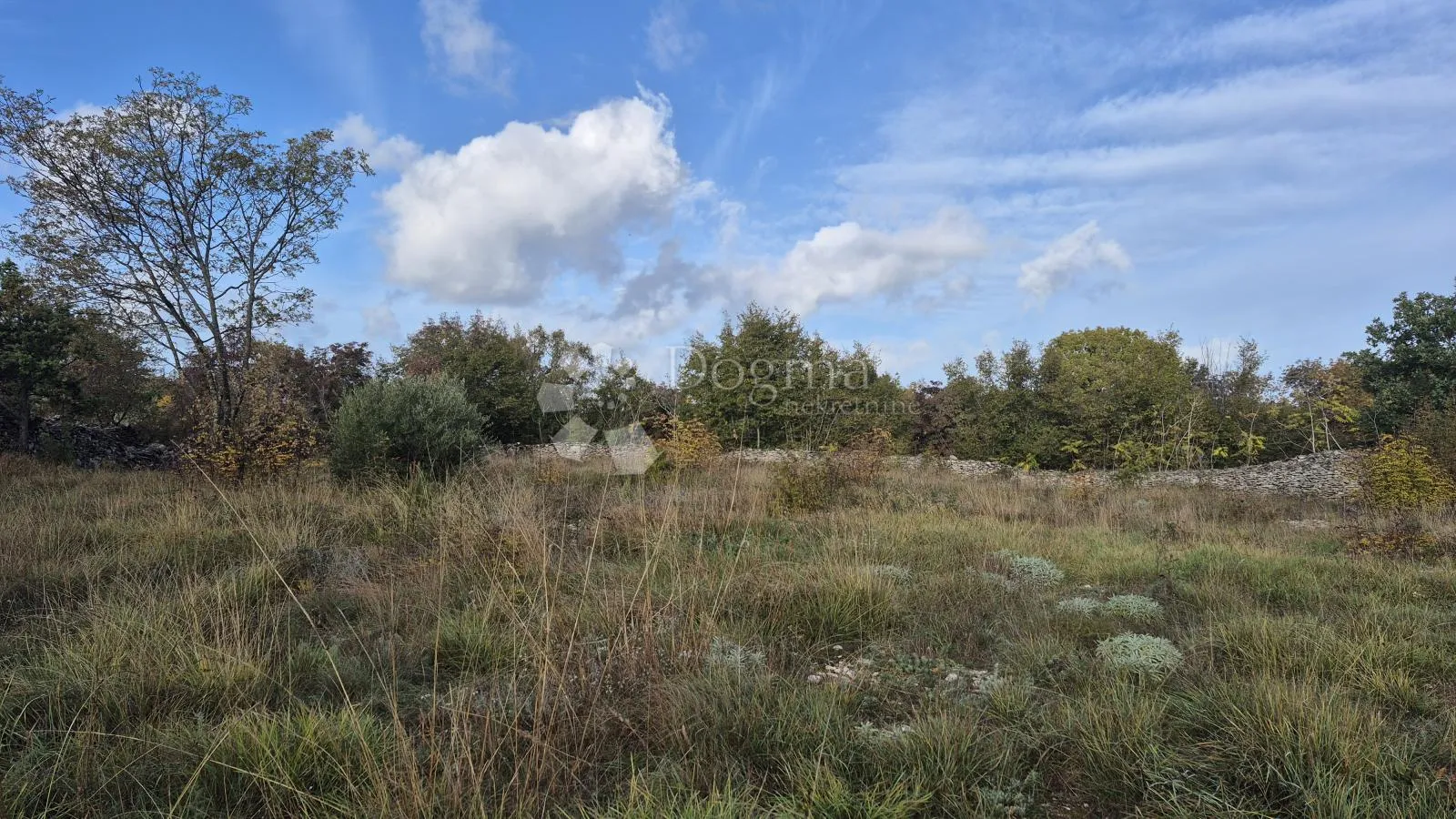 pašnjak ograđen suhozidom, površine 1705 m2 - slika 11
