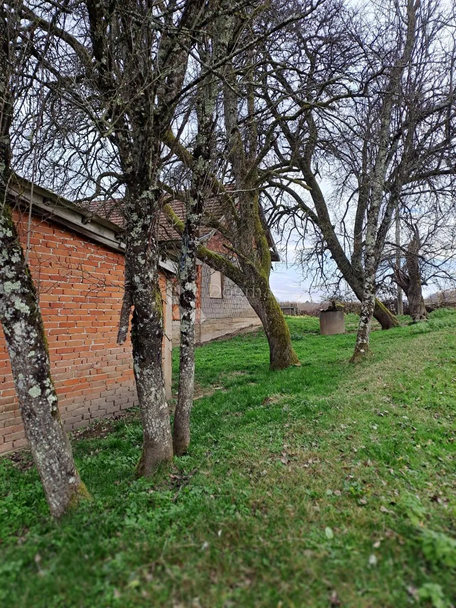 posjed s bunarom i dosta šume - slika 11