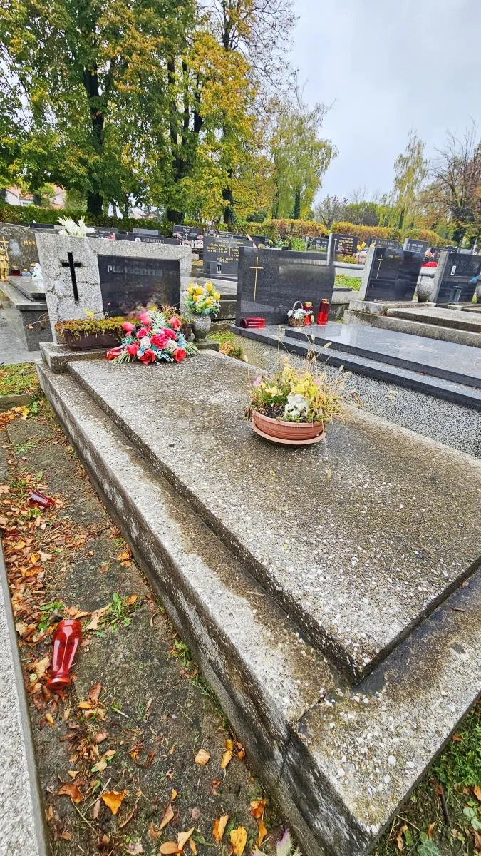 mirogoj blizu glavnog ulaza - slika 100