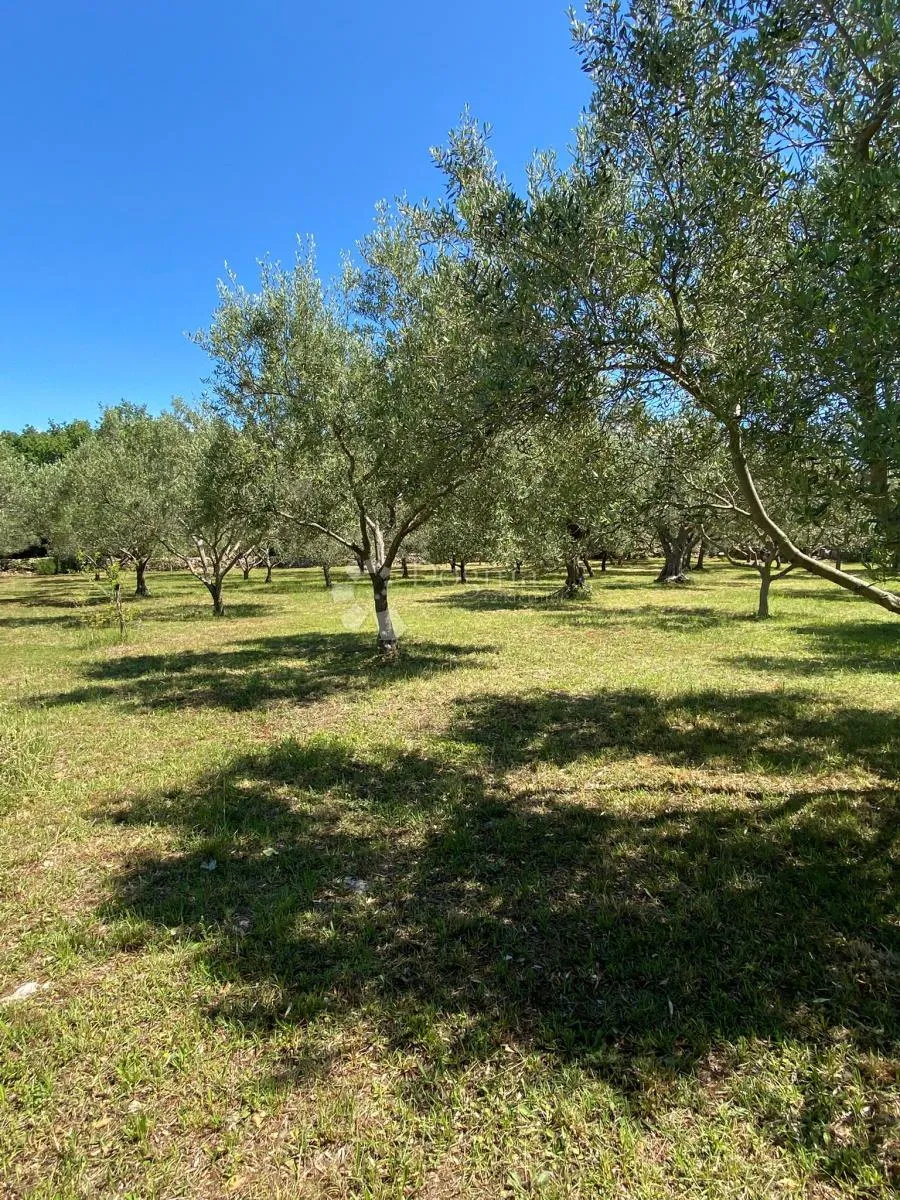 vaš privatni dašak mediterana nadomak centra peroja i plaže - slika 9