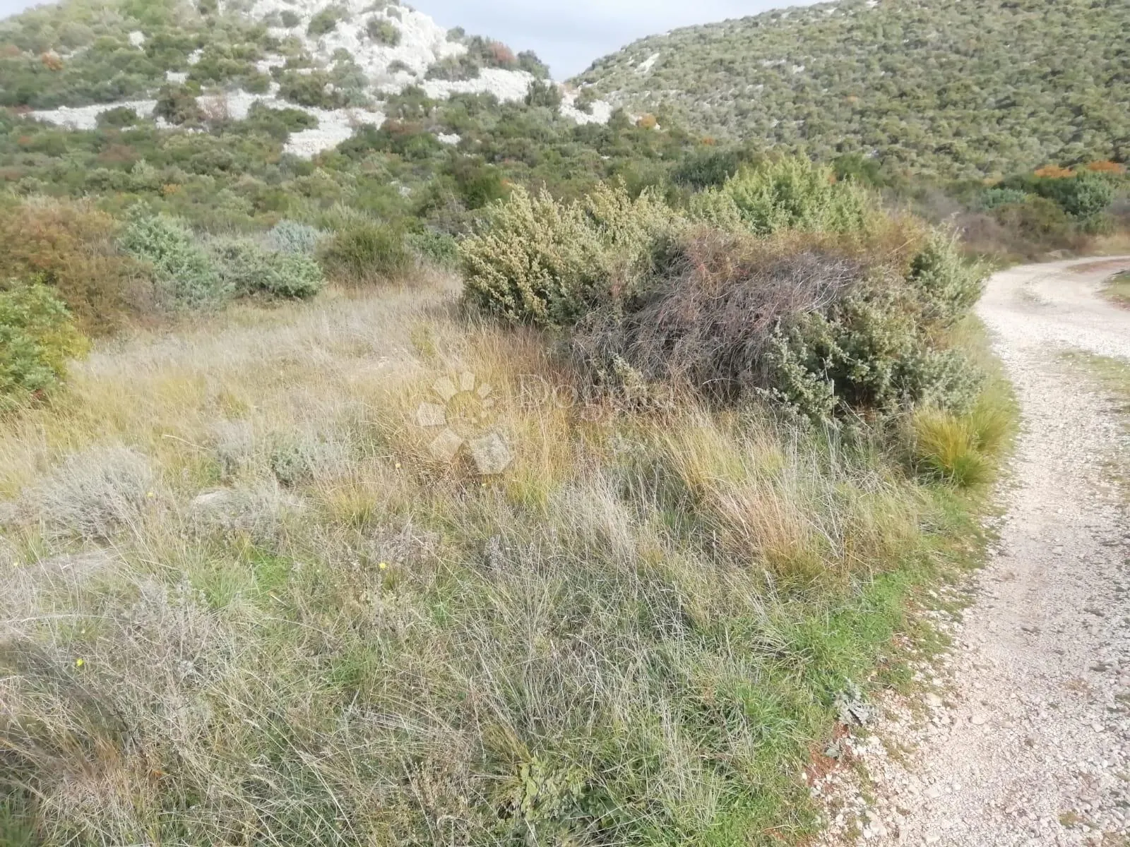 vransko jezero - poljoprivredno zemljište 3330m2 - slika 3