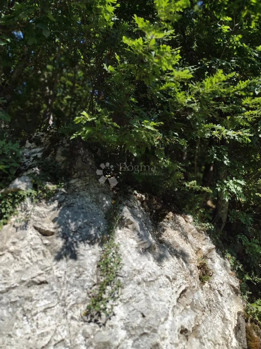 30ha u komadu - rijetkost - slika 4