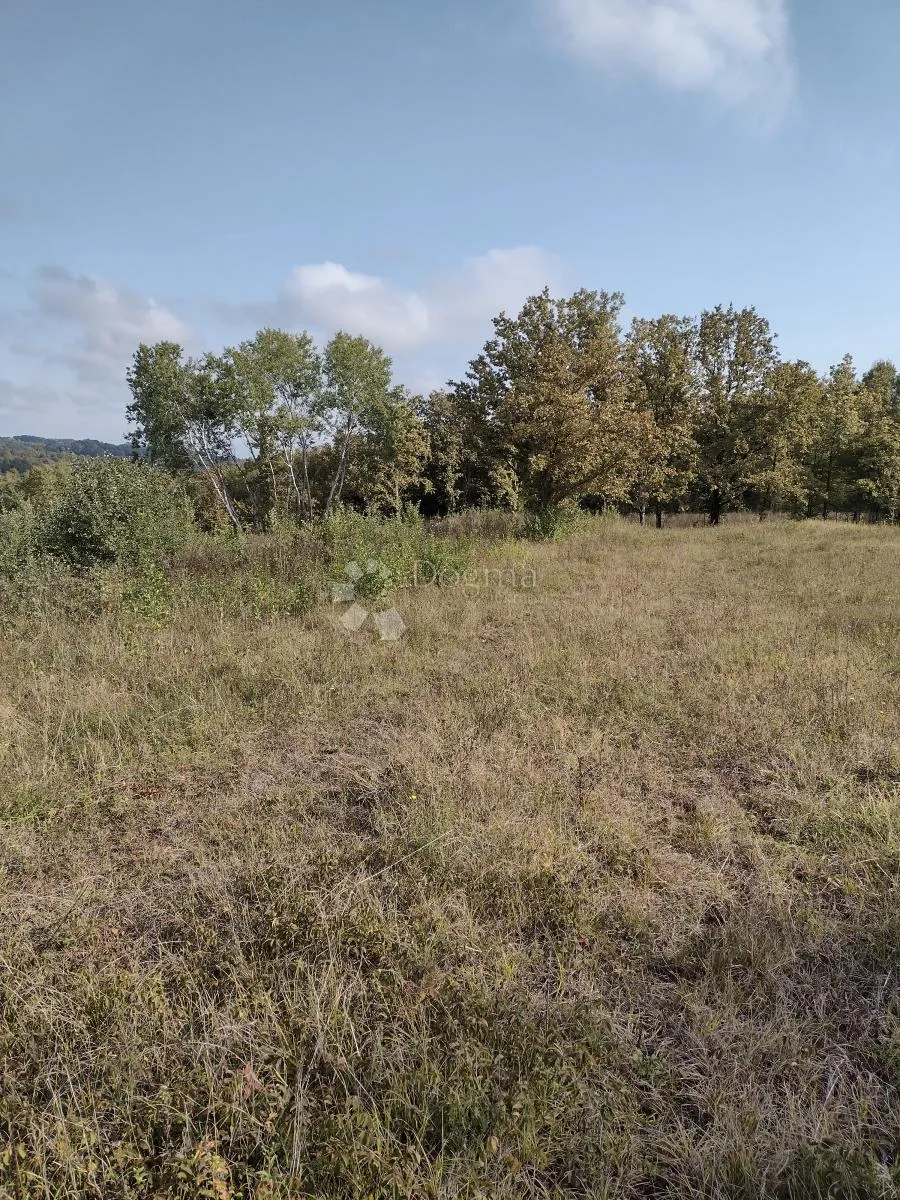 još 4.5 ha netaknute divljine - slika 6