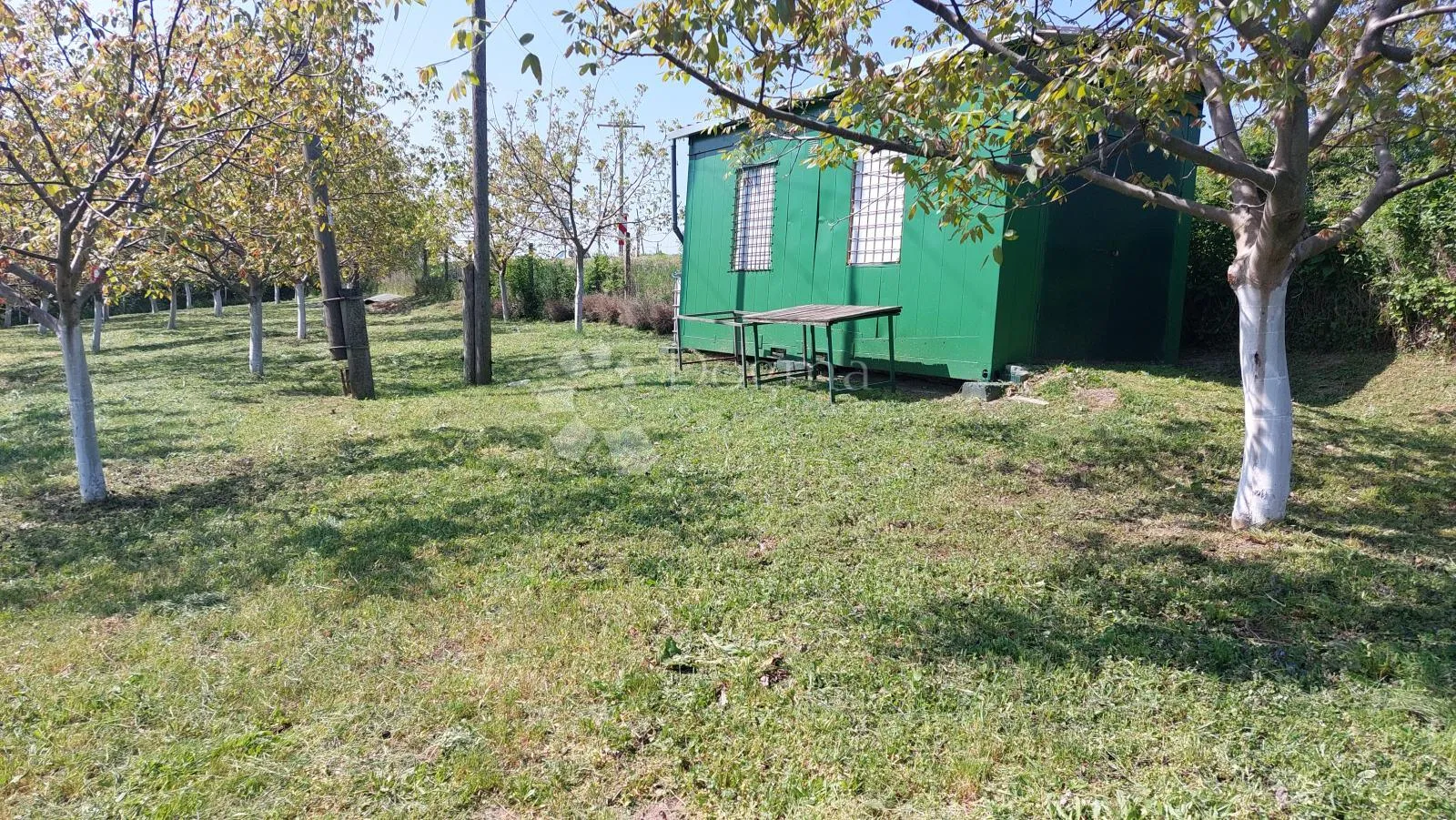 ograđen voćnjak s nasadom oraha i lješnjaka! - slika 10