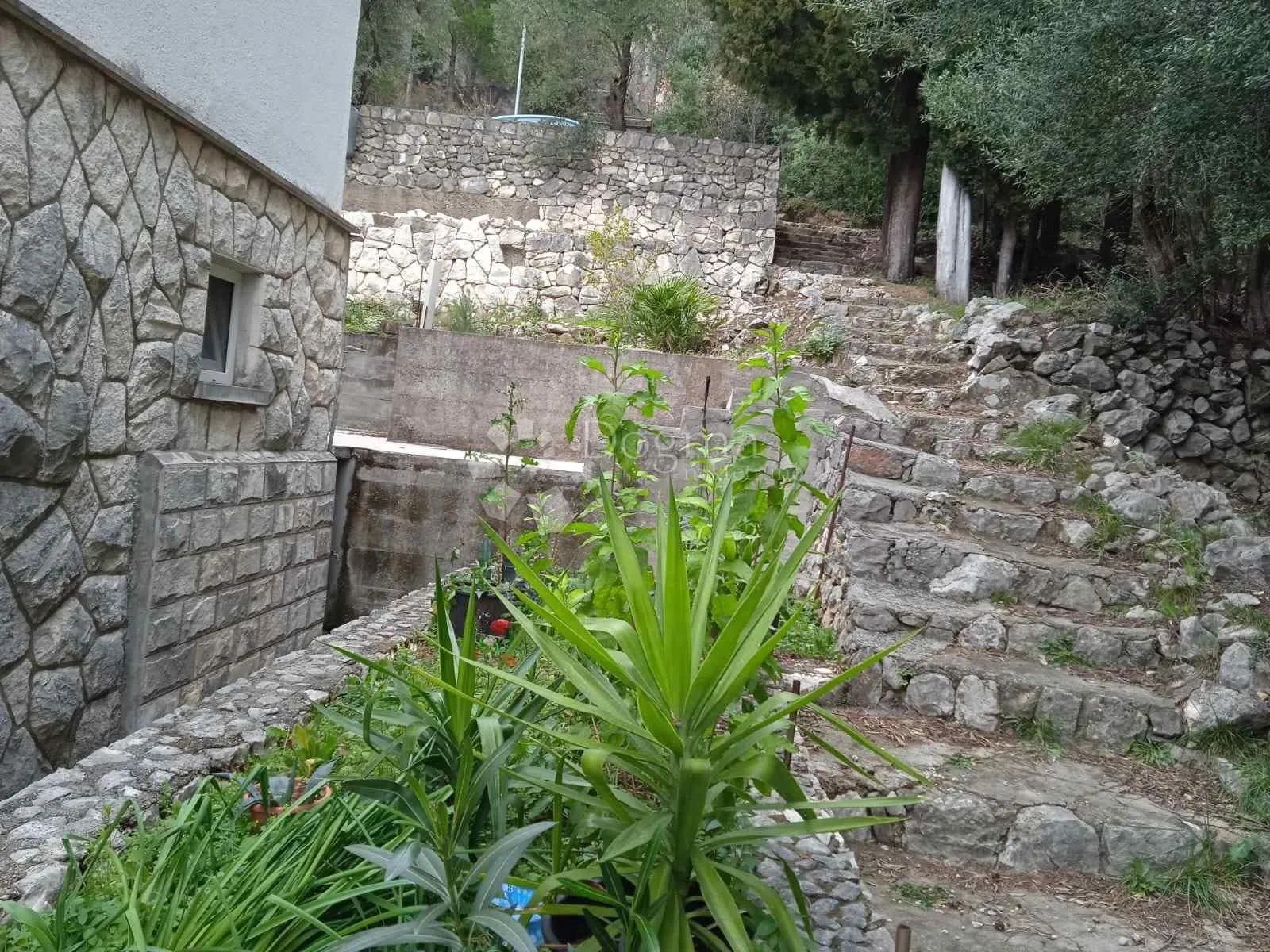 kuća uz more – dubrovačko primorje, 688 m² zemljište - slika 2