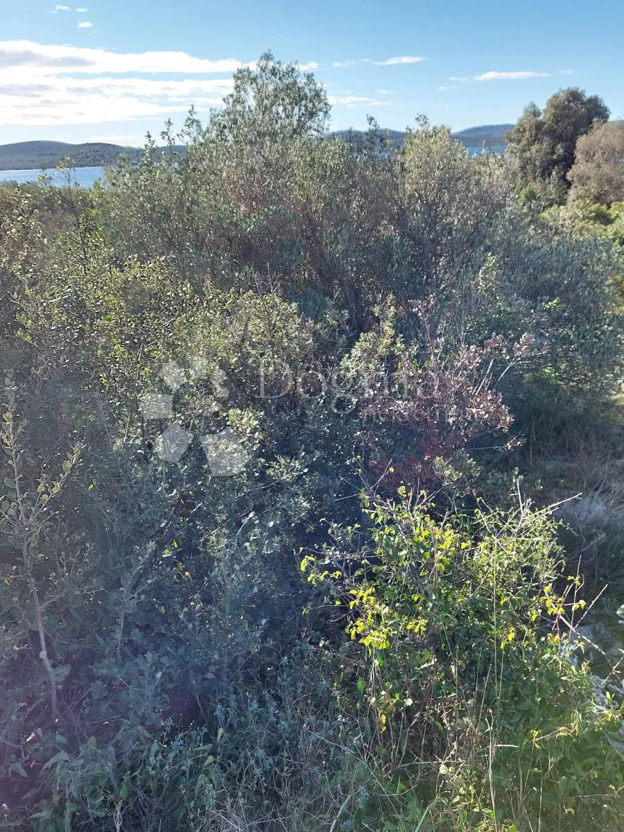 zemljište sa maslinikom drugi red do mora - slika 19