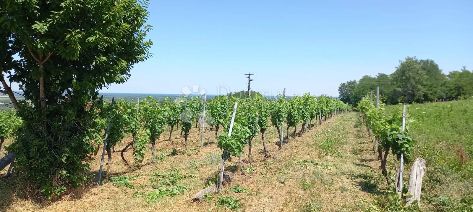 draž-jedinstvena lokacija, kompleks više zgrada - slika 21