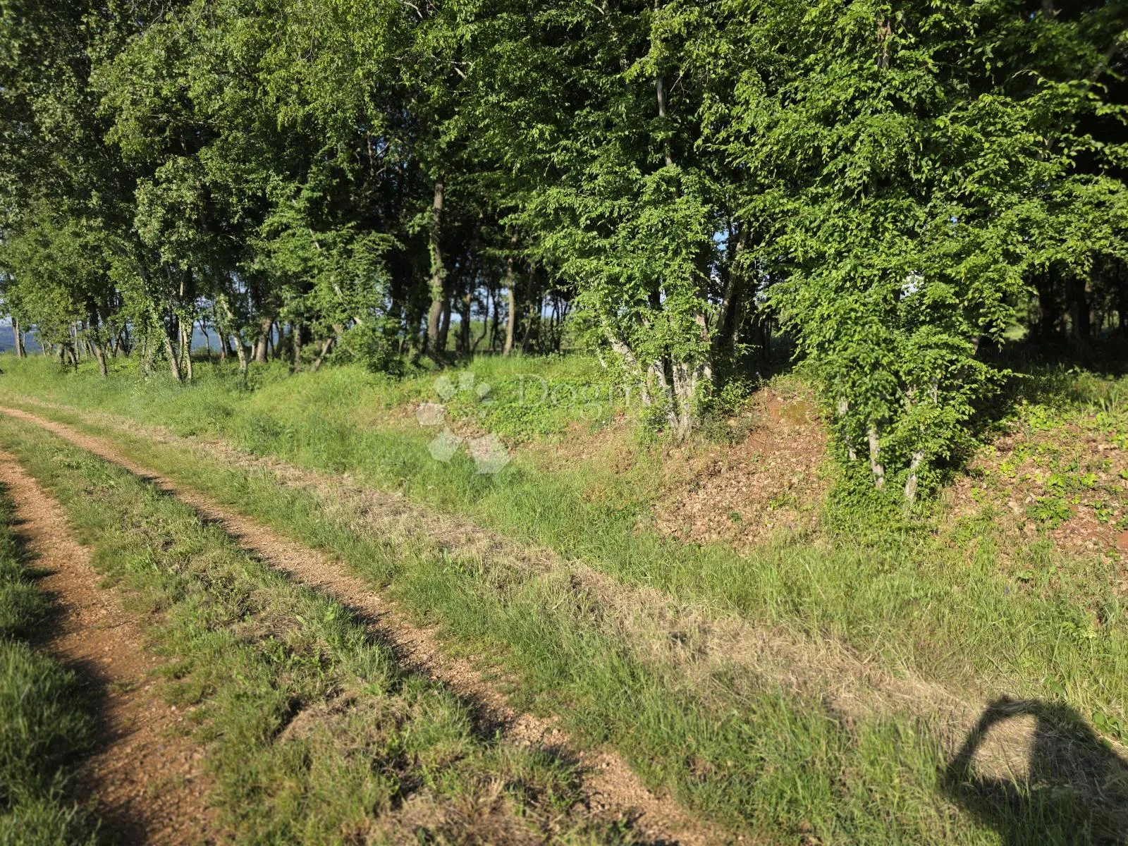 prostrano poljoprivredno zemljište - slika 5