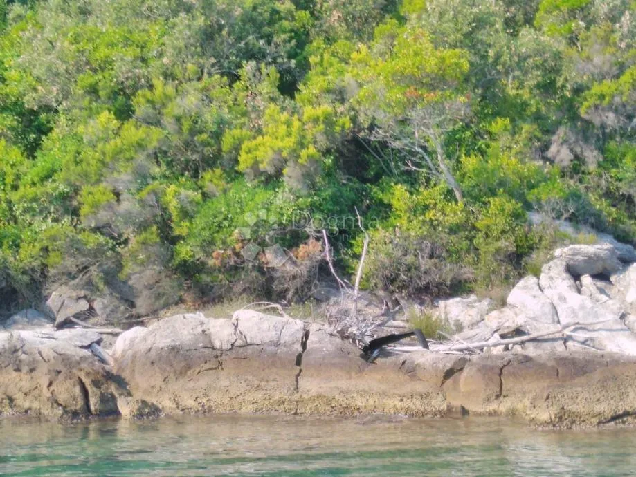 velika parcela na mirnoj lokaciji na pelješcu – poljoprivredno zemljište - slika 2