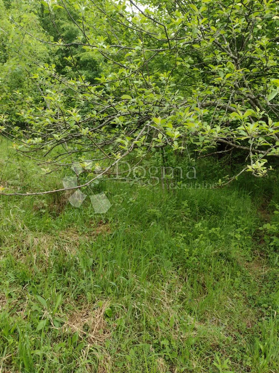 zemljište za eko poljoprivredu, dugo selo lasinjsko - slika 3