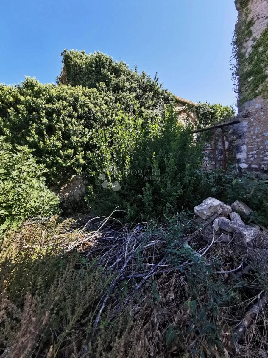 autentična kamena kuća za renovaciju, blato centar, otok korčula - slika 4