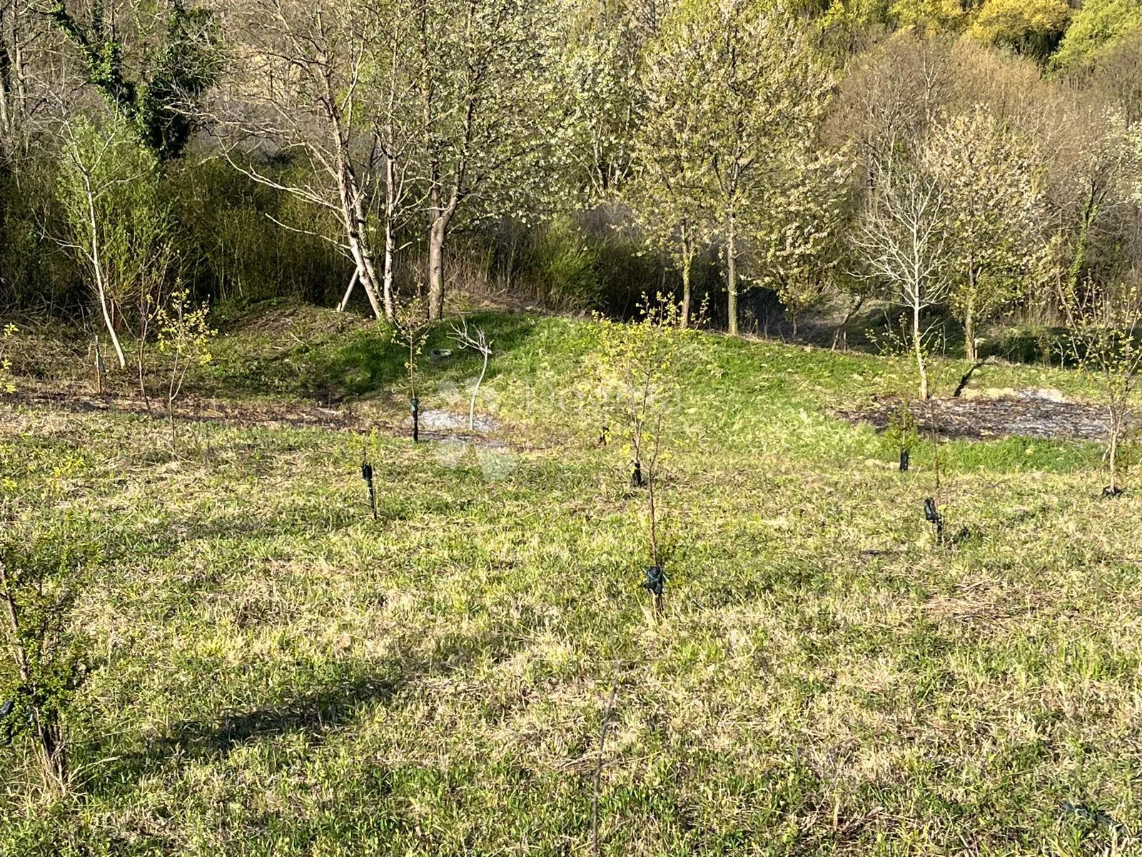 prodaja građevinskog zemljišta, zabok, veliko trgovišće - slika 12
