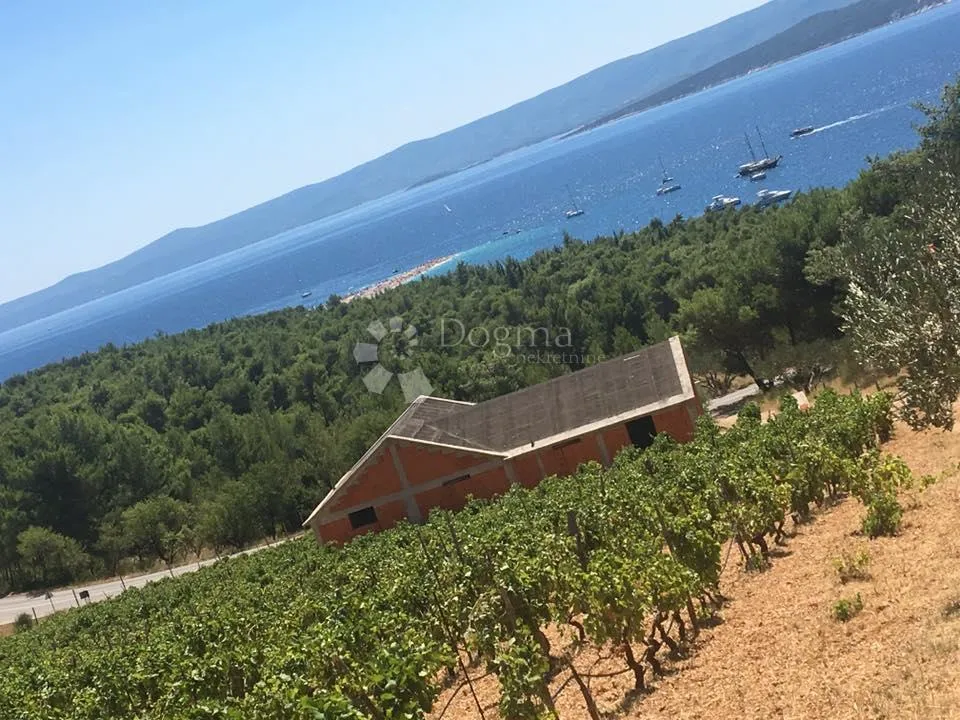bol 2 kuće + vinograd od 9614m2 s top pogledom - slika 12