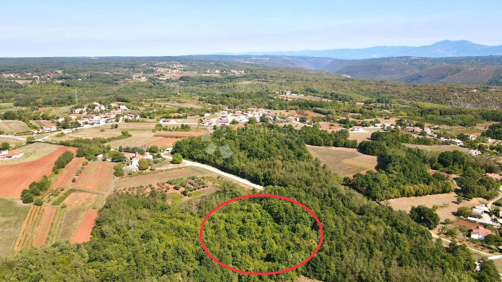 prostrana šuma površine 11669m2, blizina naselja!! - slika 2