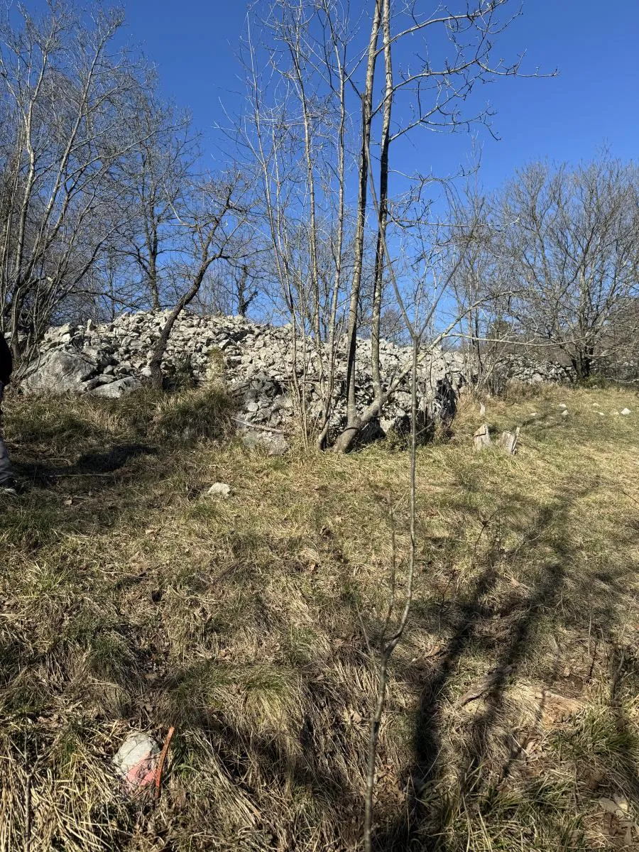 poljoprivredno zemljište - slika 3