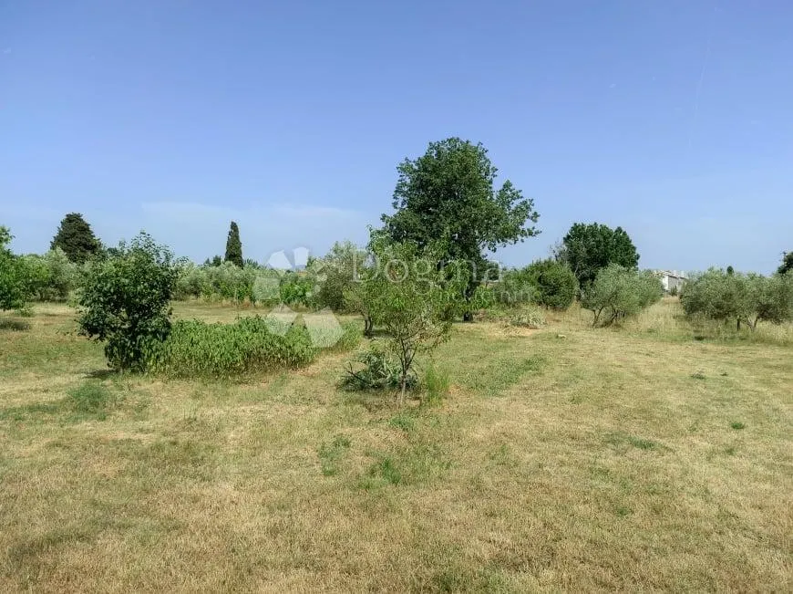 prekrasna stancija u okolici pule, s 10000 m² urbaniziranog zemljišta - slika 66