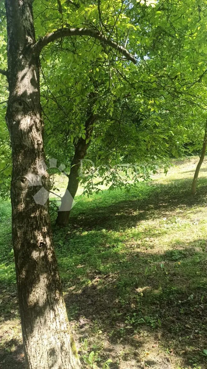 zemljište sa kućicom i spremištem, te wc-om nadomak zaboka - slika 38