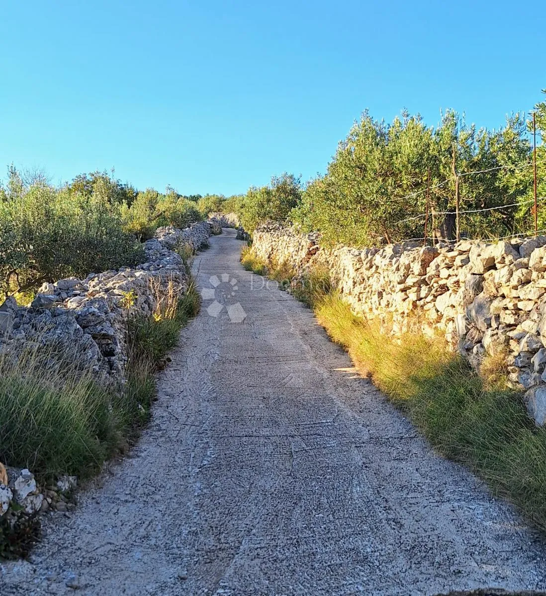 poljoprivredno zemljište na odličnoj lokaciji – mirca, brač - slika 6
